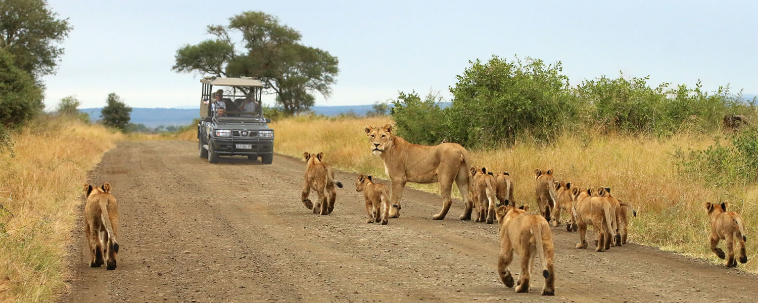 What are Best Places to Visit on Kenya Safari Tours