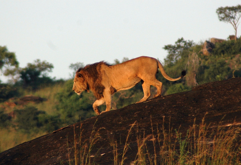 Kidepo Valley National Park Uganda