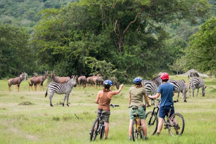 Lake Mburo National Park Uganda