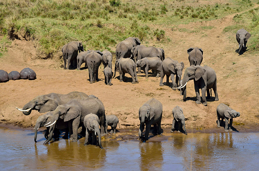 Tarangire National Park