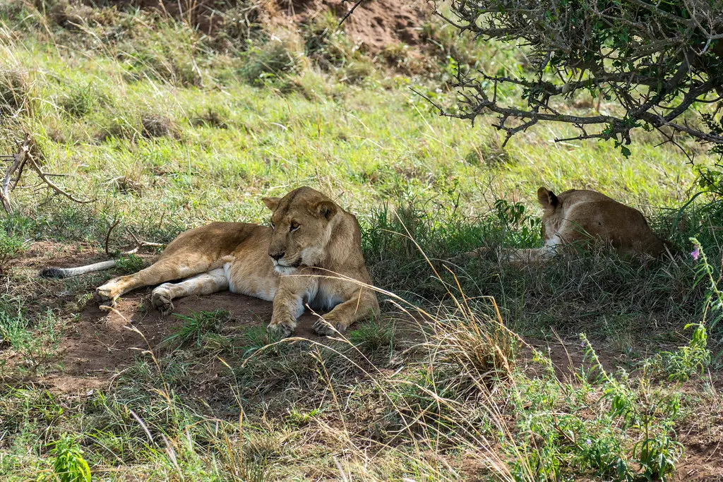 Top 10 Places to Visit on a Uganda Safari and Tour