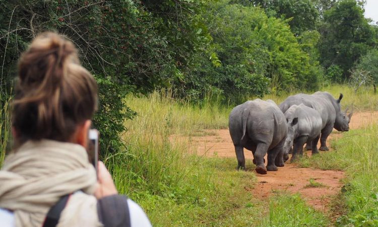 Uganda through the Seasons. When you should Visit