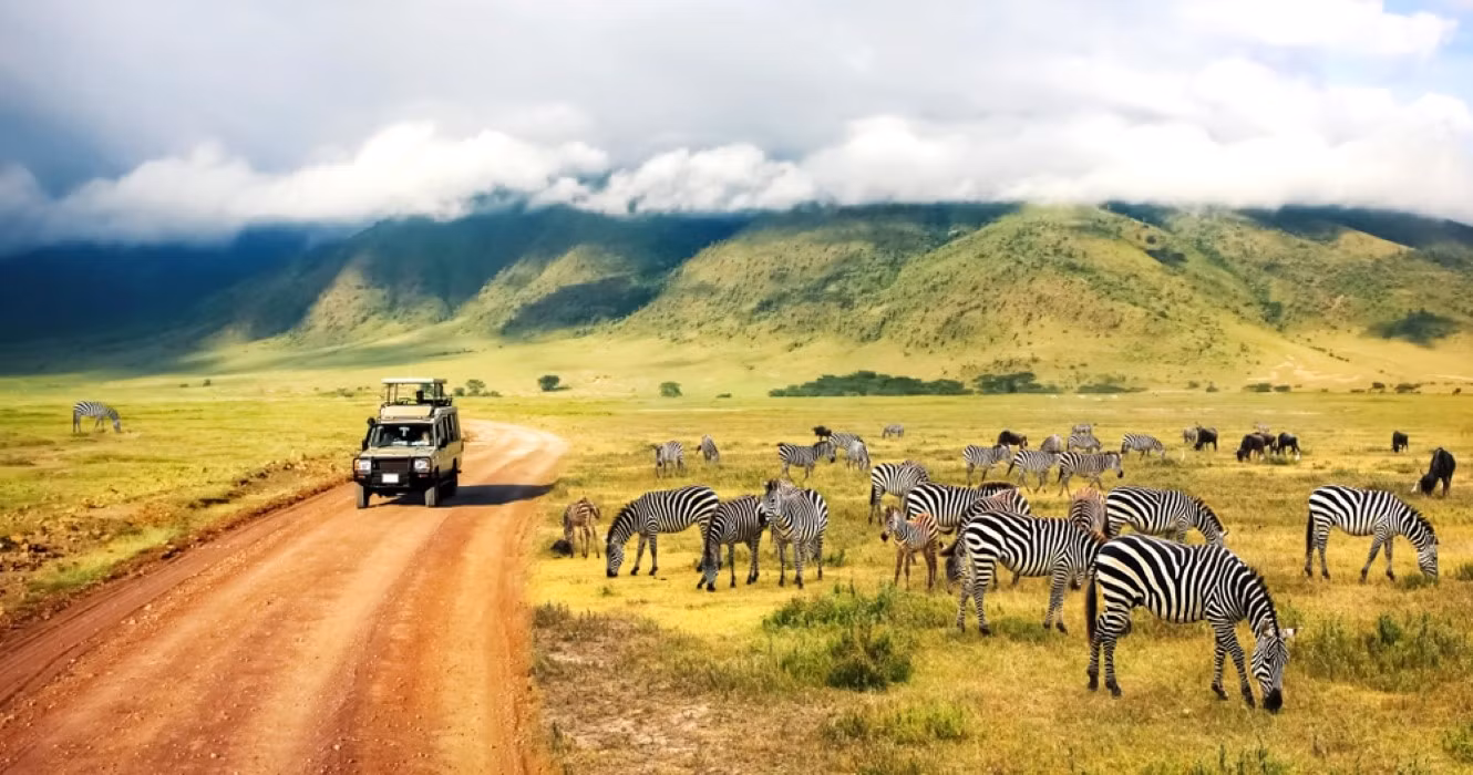 Most popular Tanzania safari Destinations to visit now
