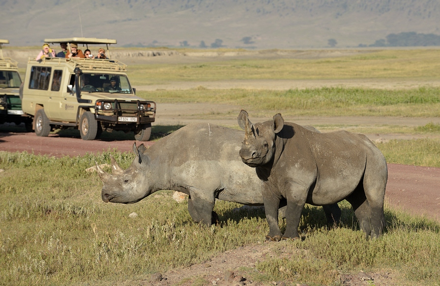 Best Safari Activities in Ngorongoro National Park, Tanzania