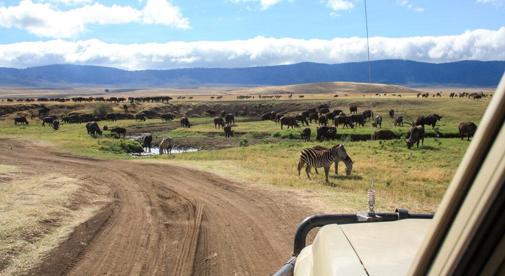 Best Time to Go for Ngorongoro National Park in Tanzania