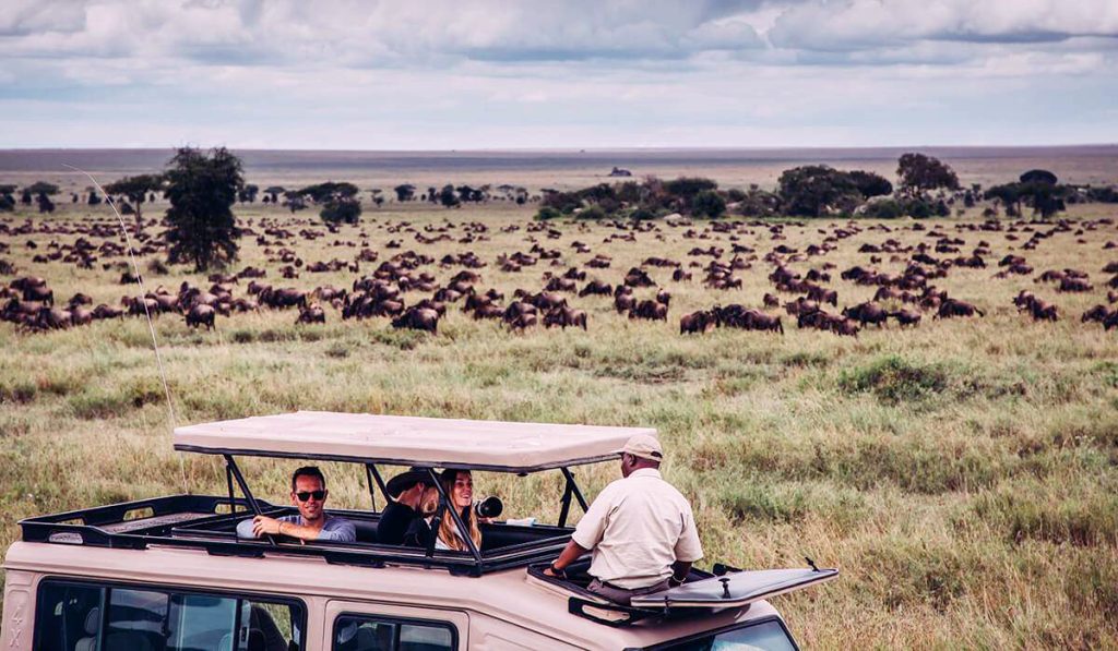 Why Combine Serengeti and Ngorongoro Tours in Tanzania
