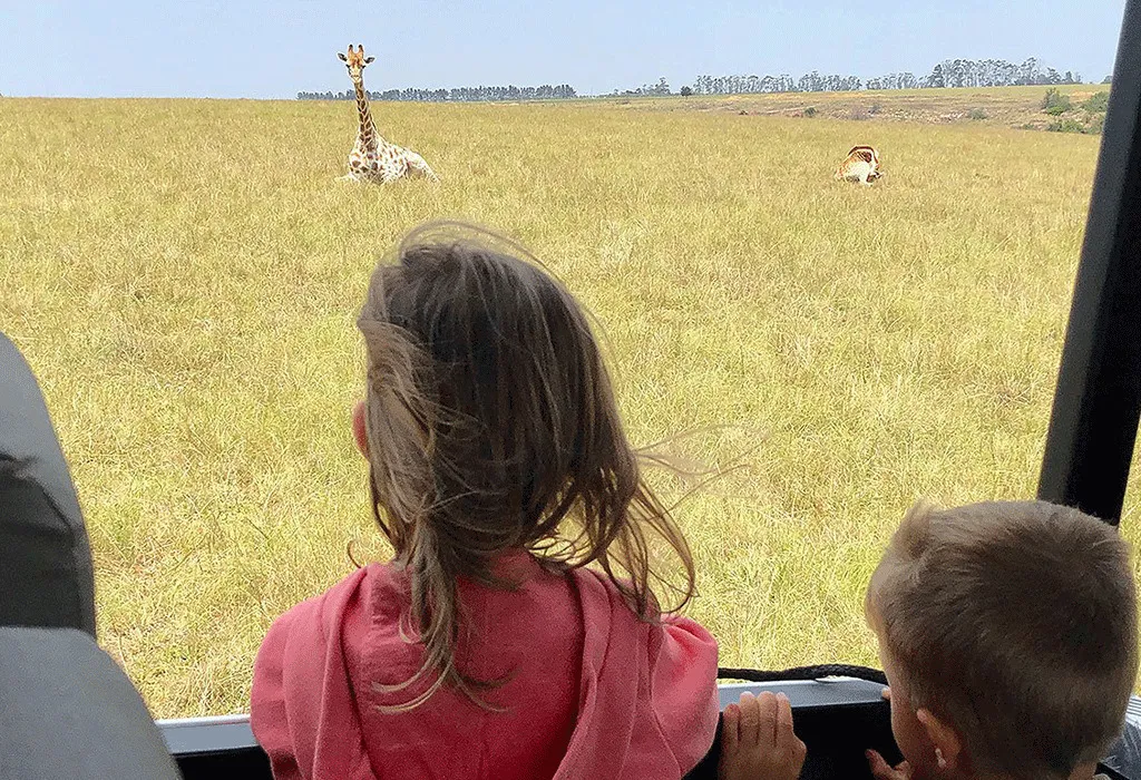 Planning a Uganda Safari with Kids: A Complete Family Guide