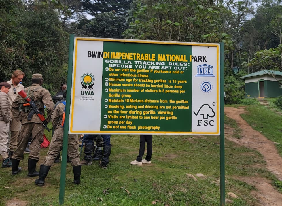 Gorilla Trekking Uganda Guidelines to Be Followed