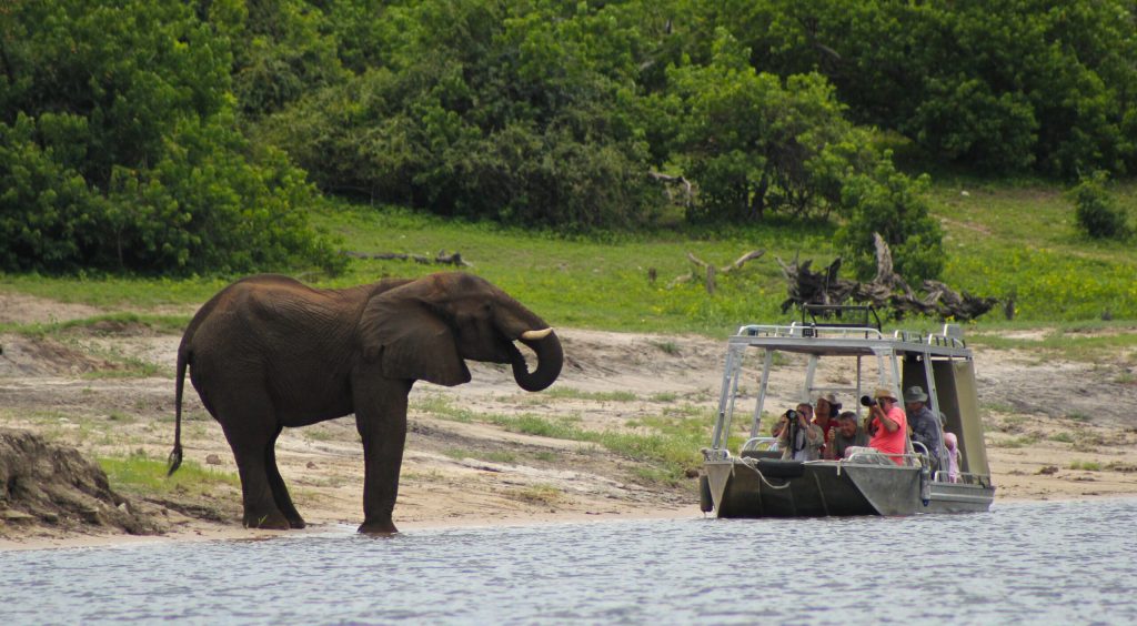 Best 10 Luxury activities to do on a Uganda safari holiday