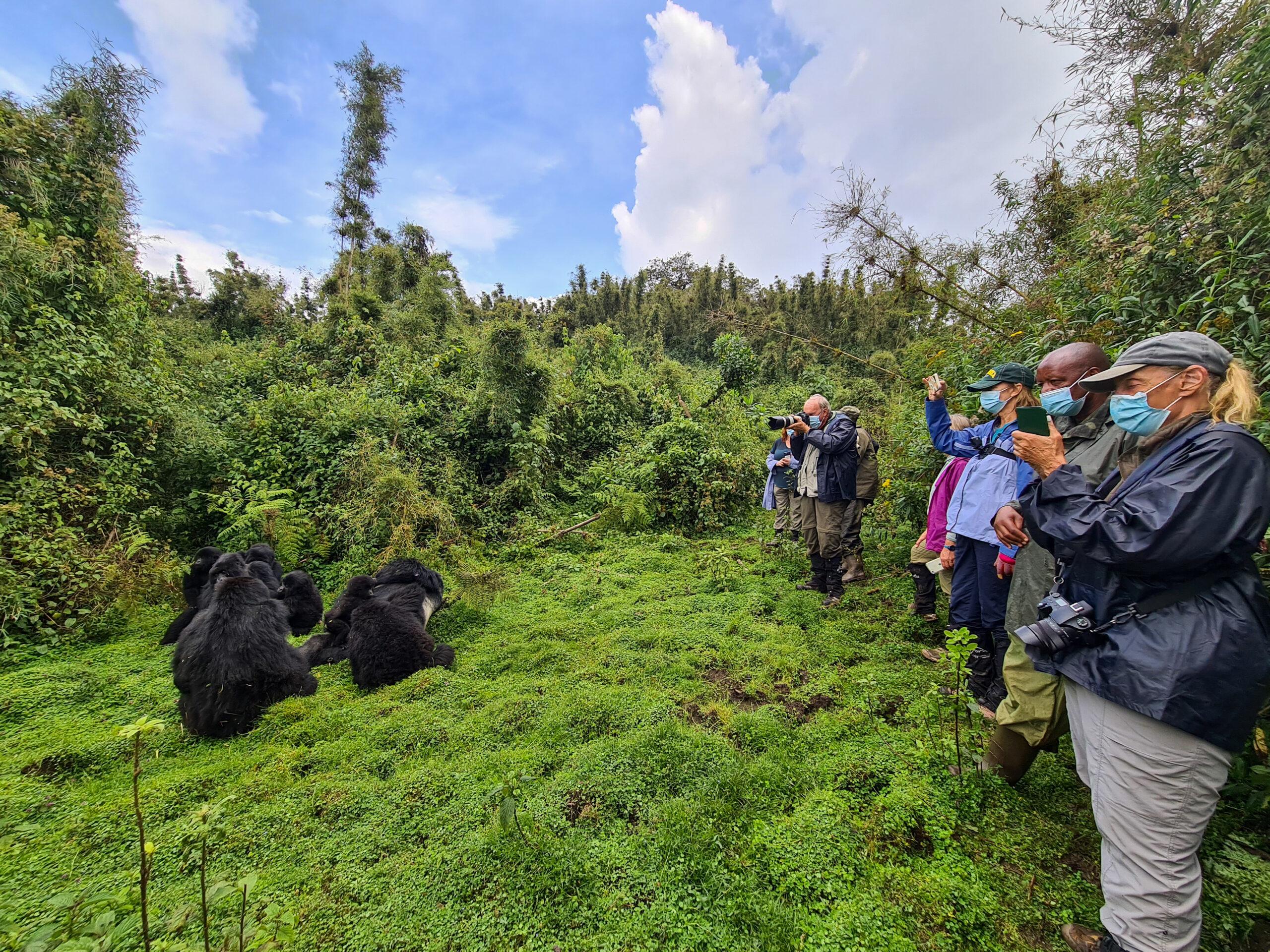 What Makes Gorillla Trekking a Passionate Adventure in Uganda and Rwanda?