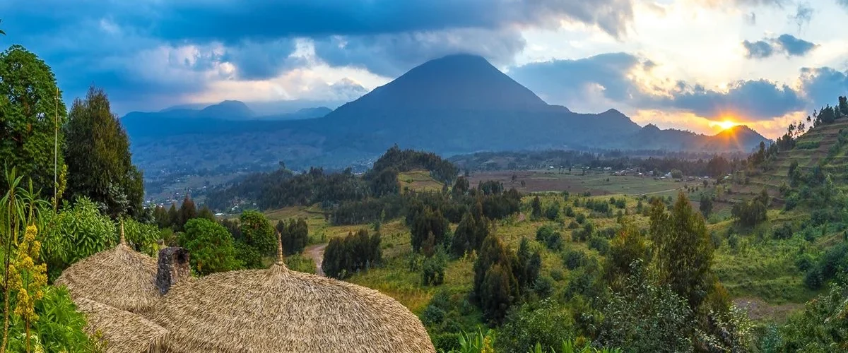 What Makes Rwanda safari Different from Other Safari Destinations