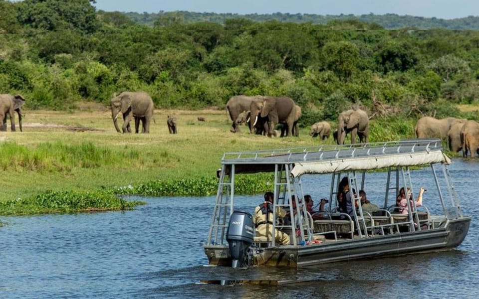 Day 1: Arrival in Rwanda and Transfer to Akagera with Boat Cruise