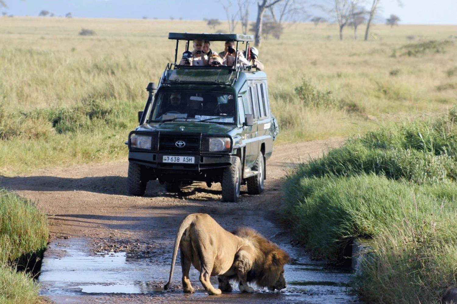 Day 2: Early Game Drive and Big Five Hunt