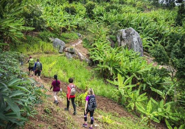 Day 6: Congo Trail Hike and Village Tours