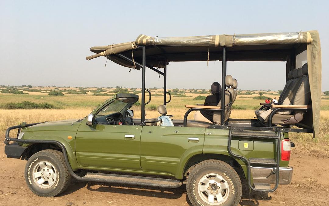 Day 5: Game Drives and Transfer to Bwindi via Ishasha