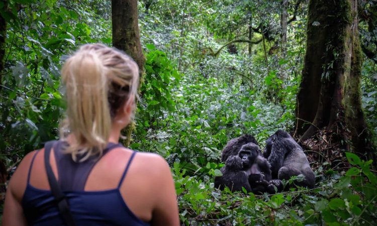 Day 6: Gorilla Trekking and Relaxation at Lake Bunyonyi