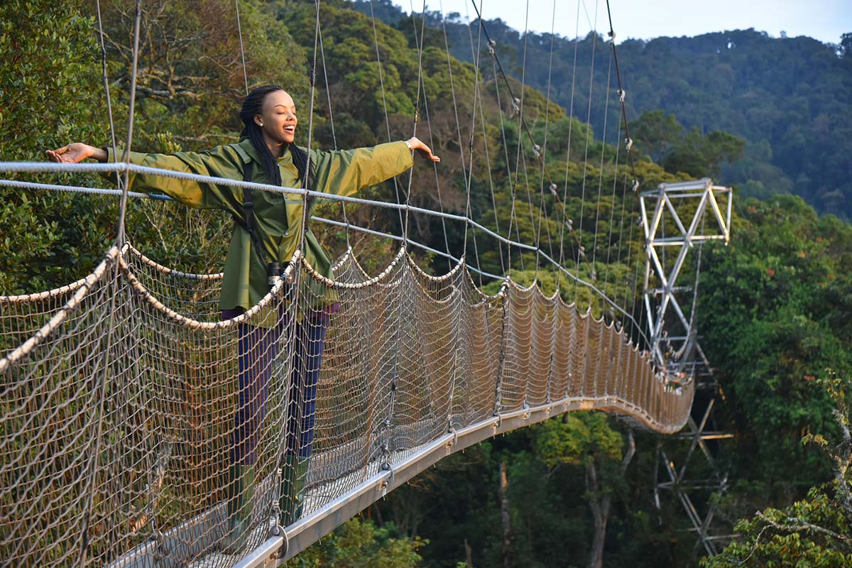 Day 1: Arrival in Rwanda, Transfer to Nyungwe and Canopy Walk
