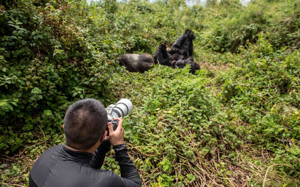 Day 3: Gorilla Trekking and Culture or Dian Fossey Hike