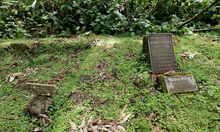 Day 3: Visit the Dian Fossey Tomb, Final Shopping and Departure