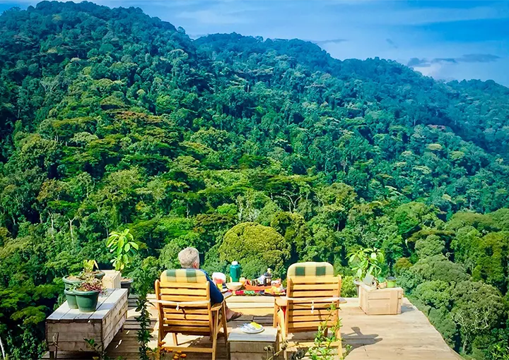 Day 1: Arrival and Transfer to Bwindi National Park