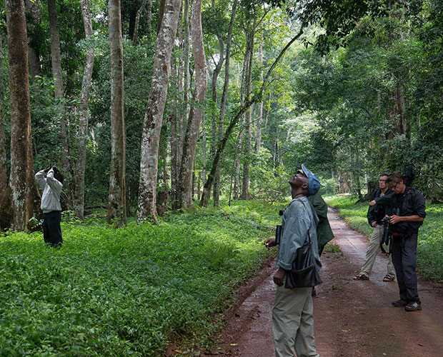 Day 1: Arrival in Uganda and Transfer to Kibale Forest
