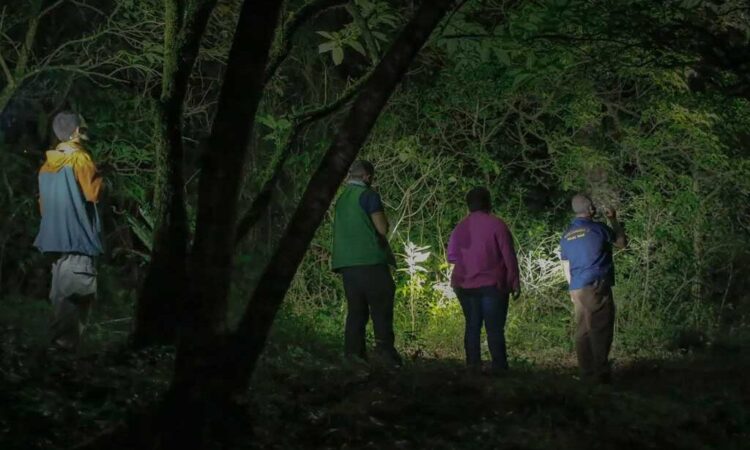 Day 1: Arrival and Transfer to Kibale and Nocturnal Walk