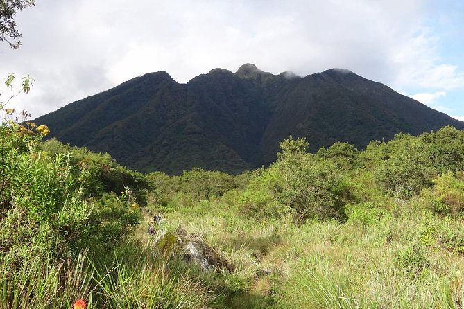 Day 1: Arrival and Transfer to Mgahinga National Park