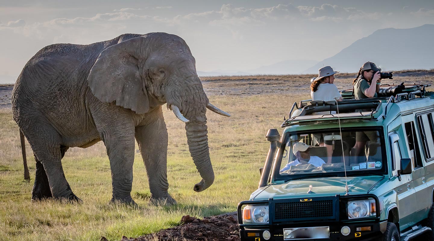 Day 3: Transfer to Queen Elizabeth National Park and Game Drives