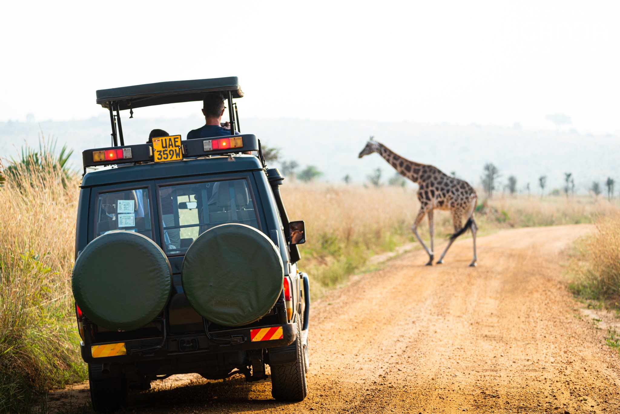 Day 4: Big Five Hunting on Game Drives and Track Rhinos on Foot