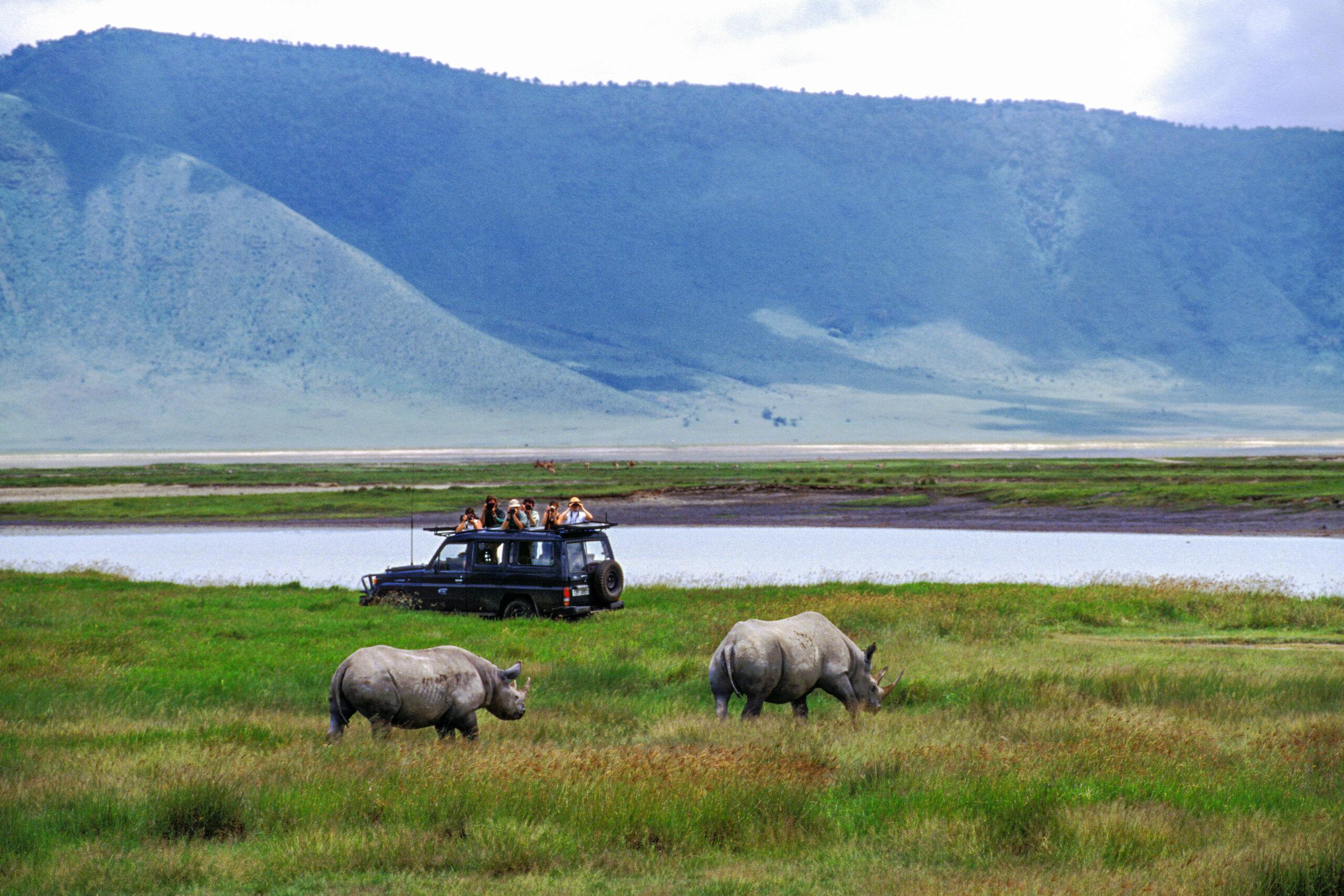 Day 3: Game Drives in the Crater, Track Rhinos and Cultural Tour