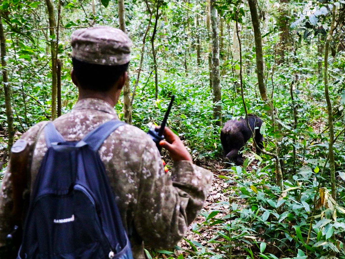 Day 1: Arrival and Transfer to Kibale National park