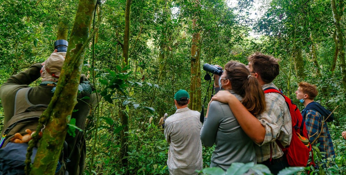 Day 2: Chimpanzee Trekking and Bigodi Wetland and Community Tour