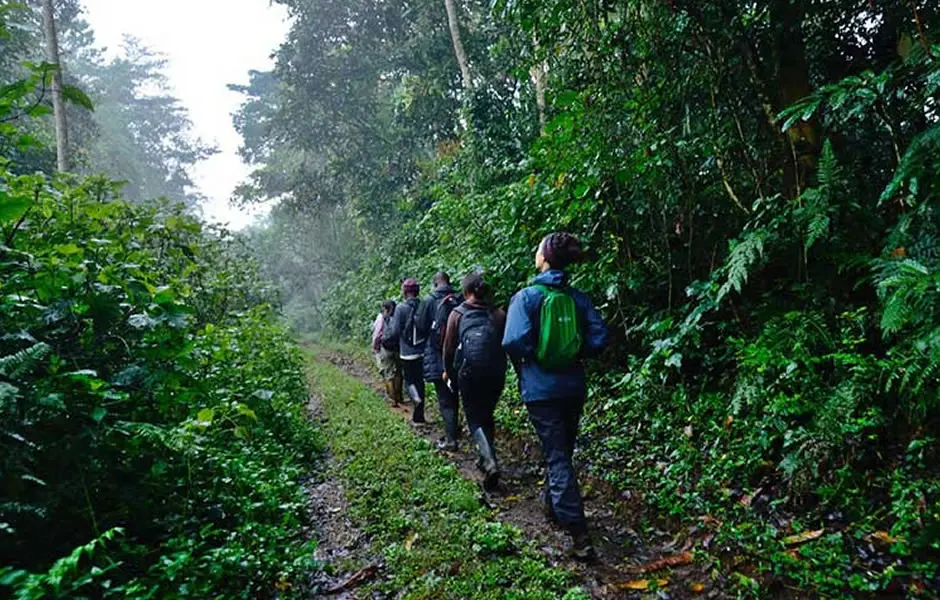 Day 2: Guided Walk and Batwa Experience