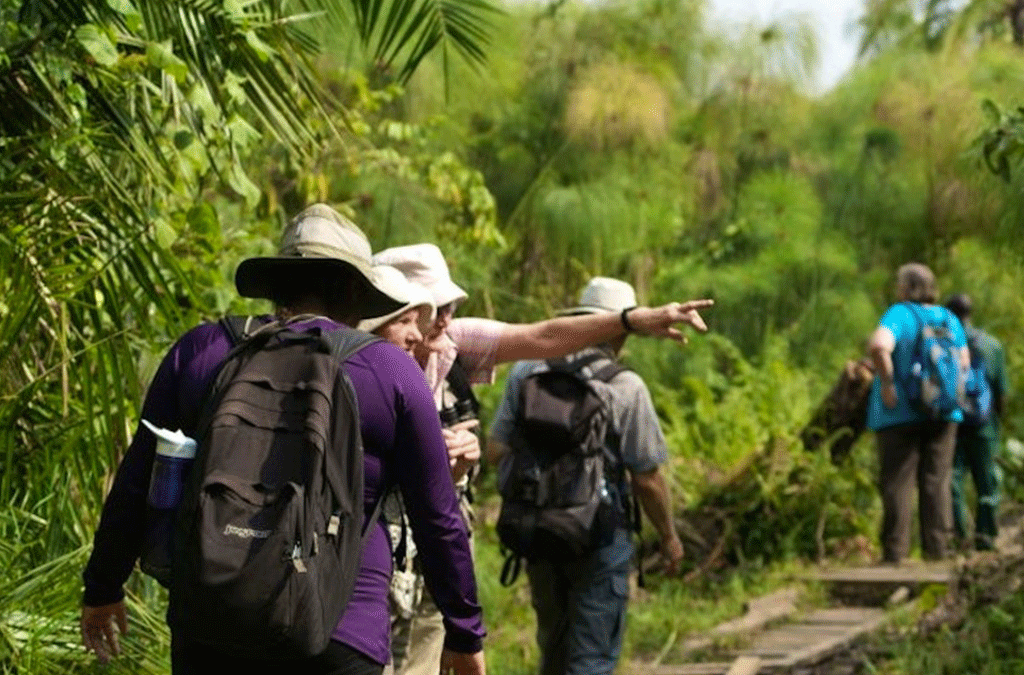 Day 3: Transfer to Bwindi National Park