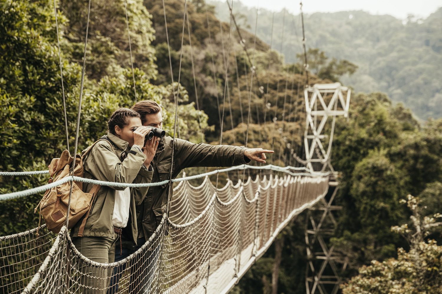 Day 1: Arrival, Transfer to Nyungwe for Nature Walk and Canopy Experience