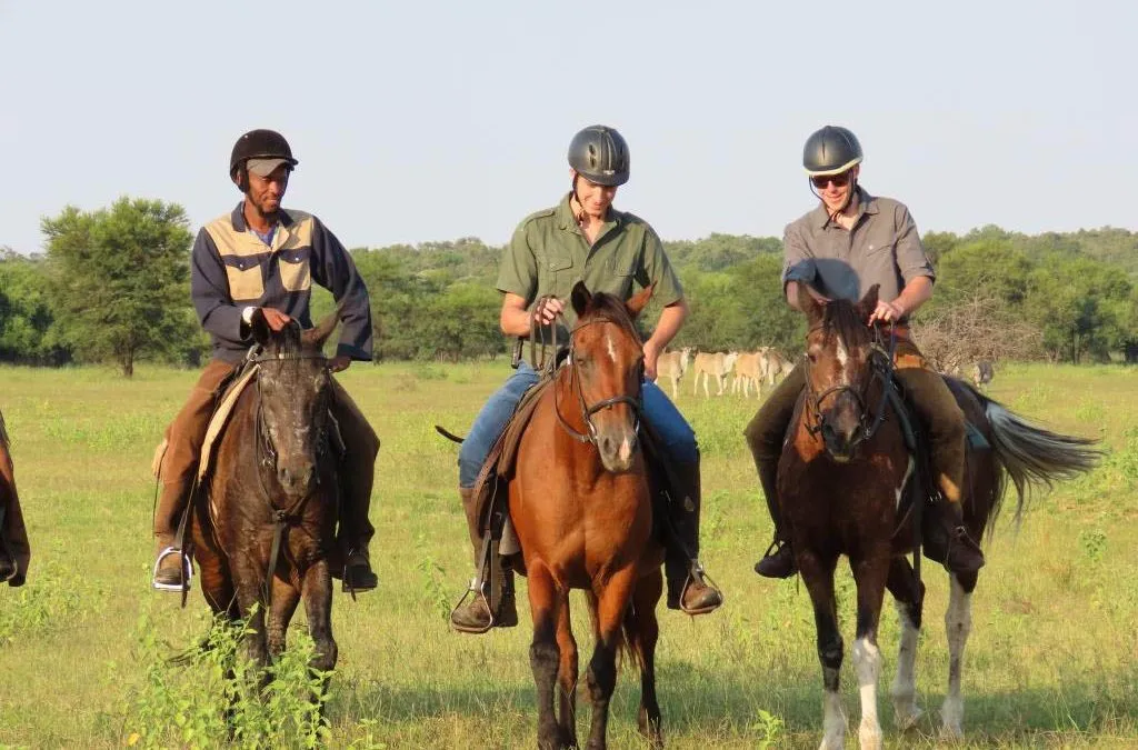 Day 4: Game Drives, Horse Riding, and Walking Safari