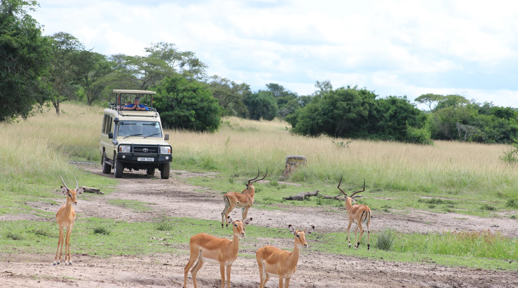 Day 5: Drive Back to Entebbe and Departure