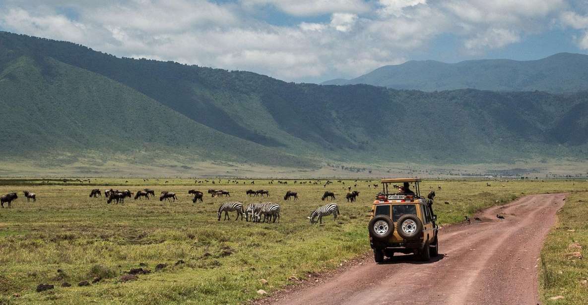 Day 2: Full Day Game Drives in the Crater
