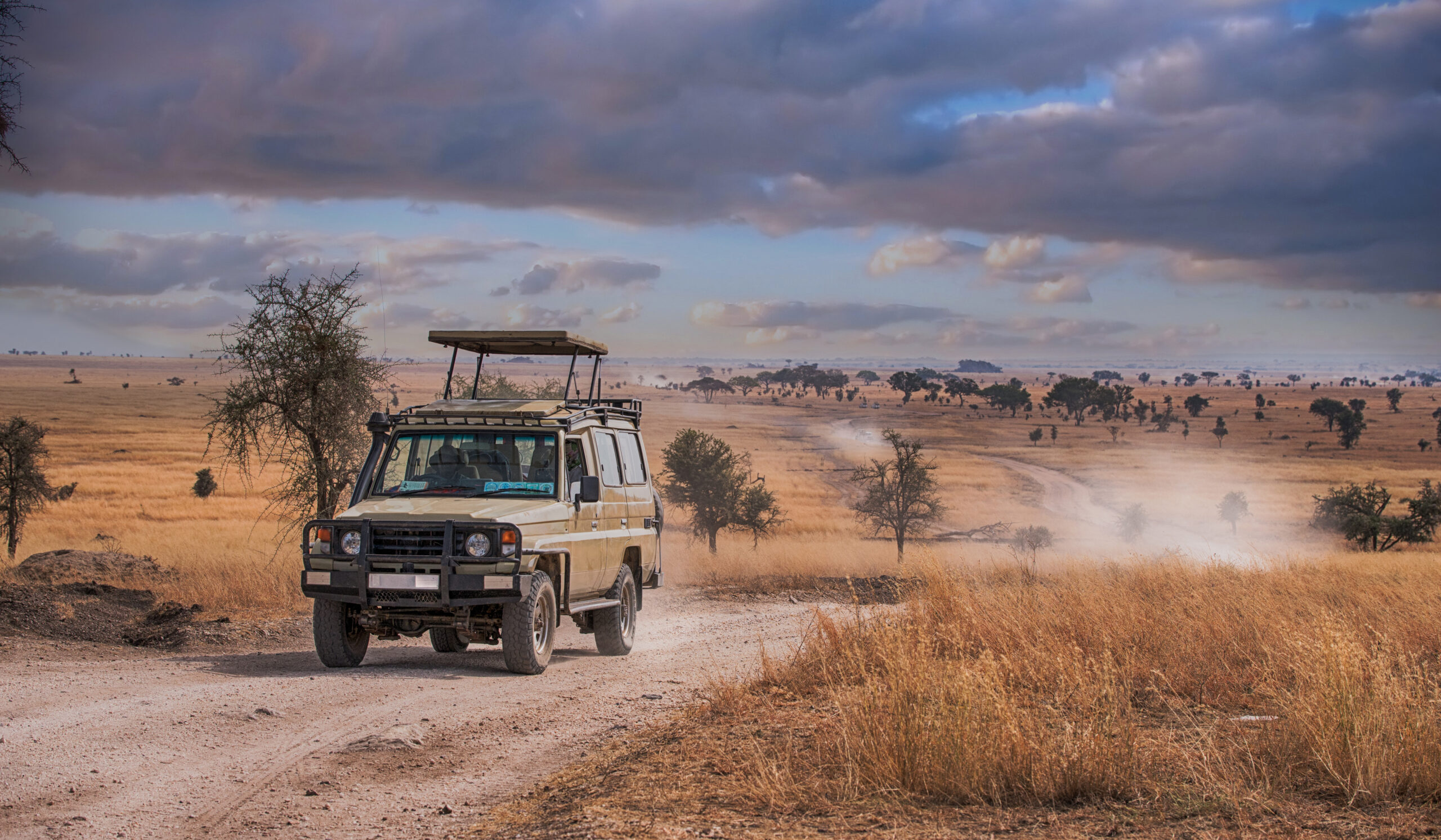 Day 1: Pickup and Transfer to Serengeti