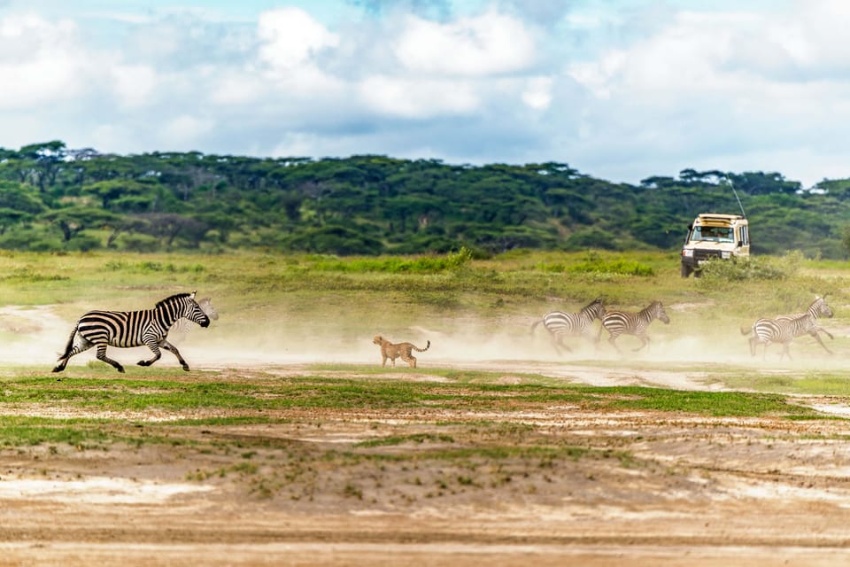 Day 3: Crater Game Drives and Return to Arusha