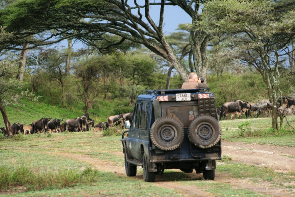 Day 1: Drive to Serengeti and Afternoon Game Drive