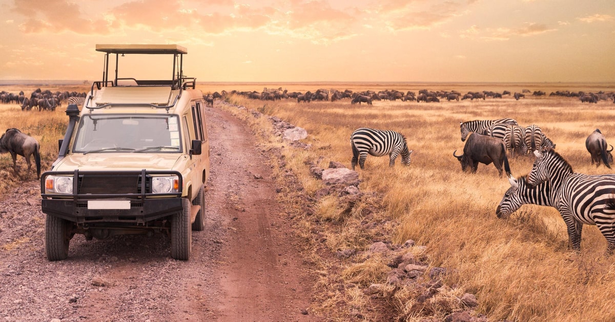 Day 1: Fly In and First Game Drive