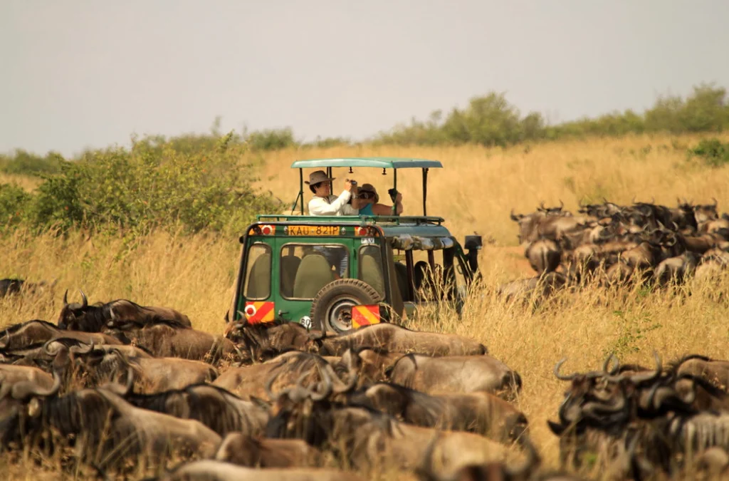 Day 2: Full-Day Safari experience