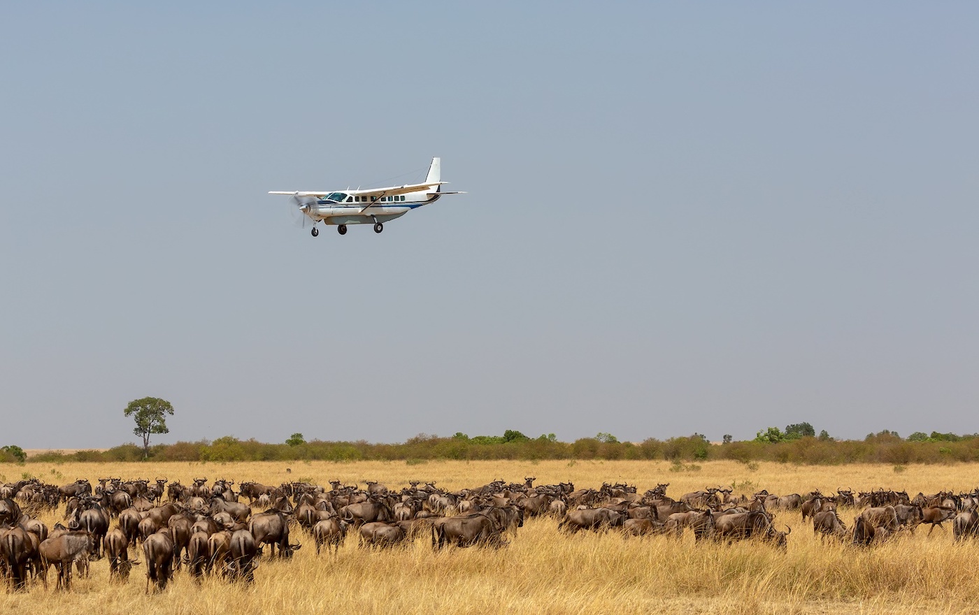 Day 3: Final Game Drive and Fly Out