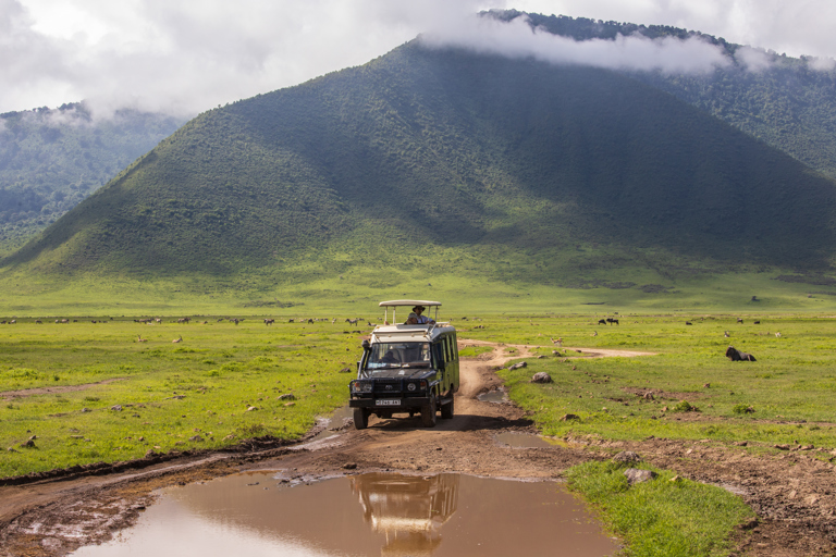 Day 3: Final Game Drive and Proceed to Ngorongoro