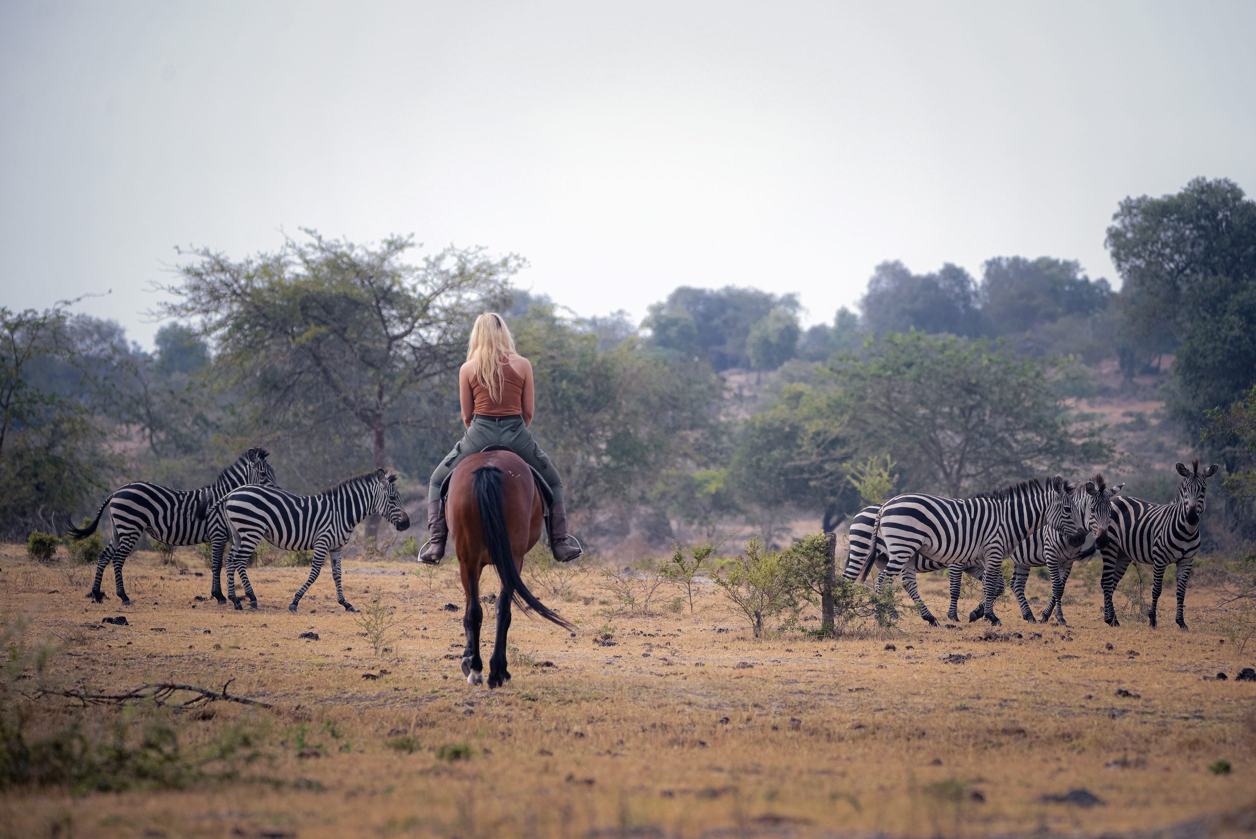 Day 2: Morning Nature Walk, Horseback Riding and Departure