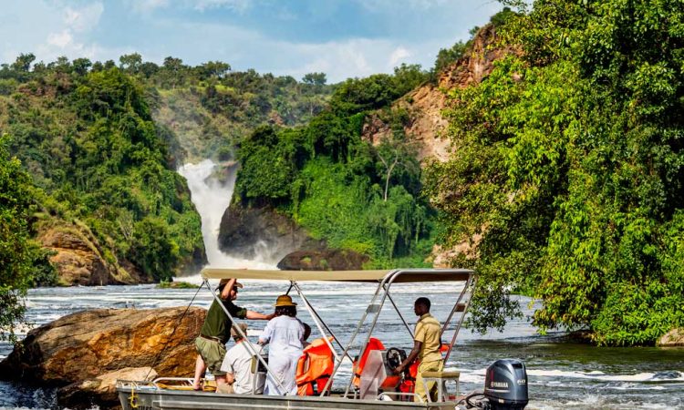 Day 2: Early Big Five Game Drives, Boat Safari and Night Game Drive