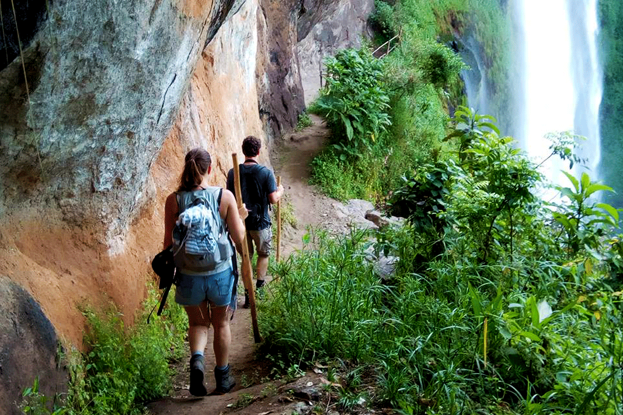 Day 2: Proceed to Sipi Falls, Hike with Culture or Coffee Tour