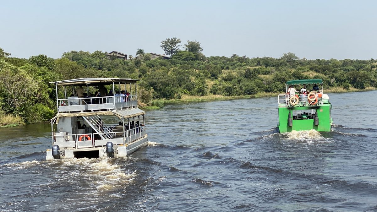 Day 11: Transfer to Lake Mburo National Park, Boat Safari, and Walking Safari