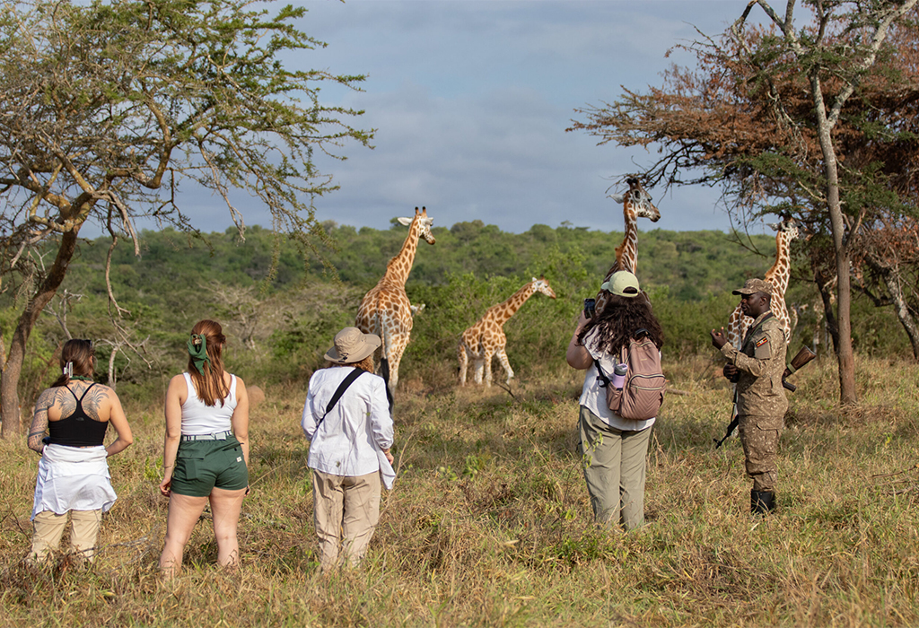 Day 12: Early Game Drive and Return to Entebbe Airport